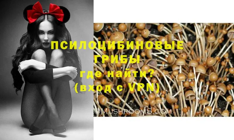 Галлюциногенные грибы Psilocybe  Полярный 