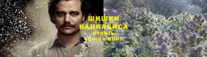 kraken tor  Полярный  Бошки Шишки OG Kush 